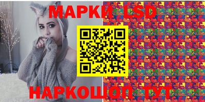 стафф Ставрополь