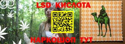 стафф Ставрополь