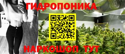 стафф Ставрополь