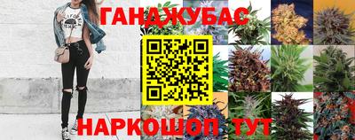 стафф Ставрополь