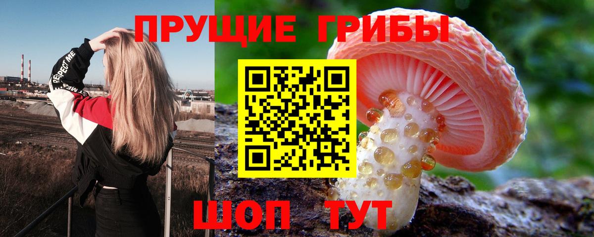 Отрадное  Псилоцибиновые грибы Magic Shrooms  Галлюциногенные грибы Psilocybine cubensis  Вход с VPN 